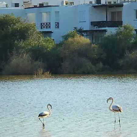بيت للعطل Seaside 1 Bdr Apt In