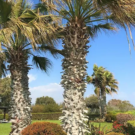 بيت للعطل Seaside 1 Bdr Apt In