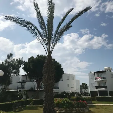 Seaside 1 Bdr Apt In بيت للعطل Meneou